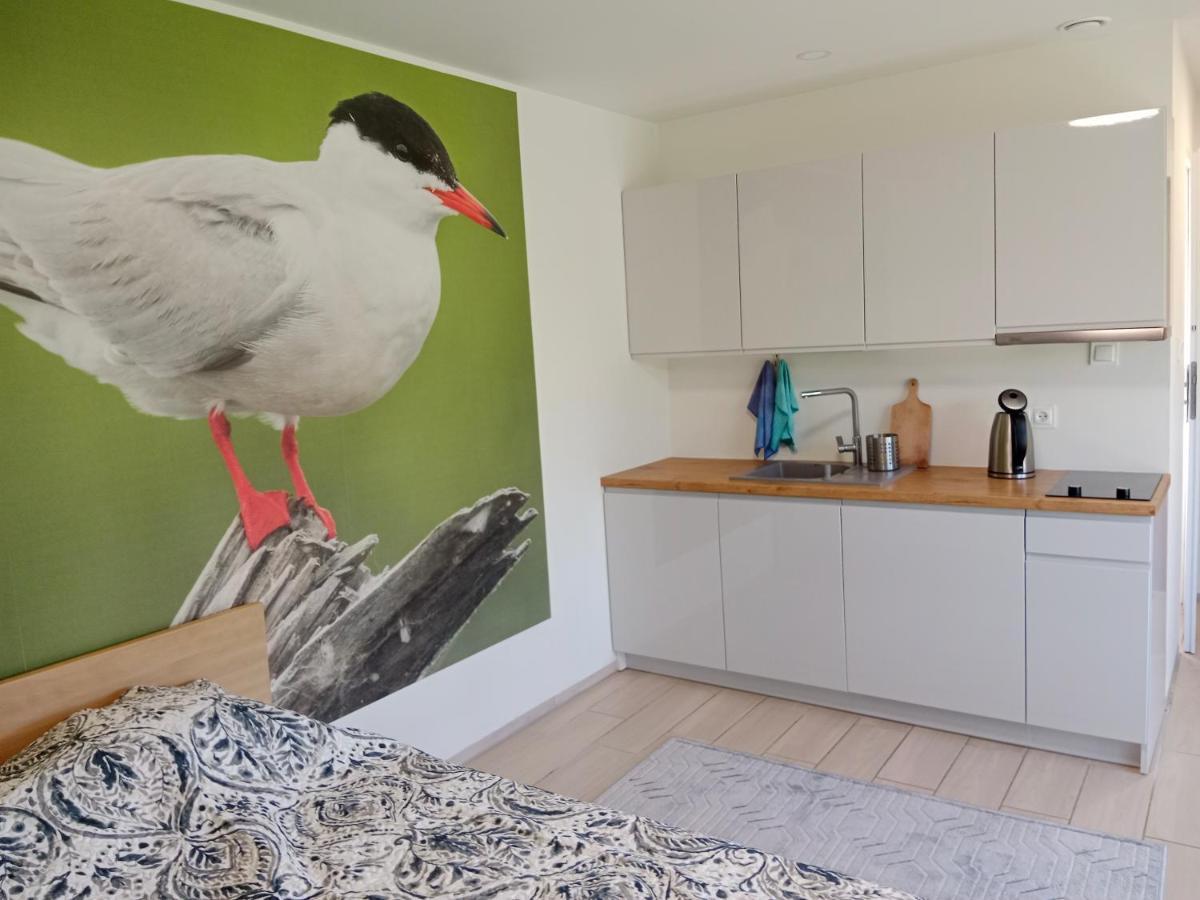 Apartamenty I Domki Osinscy 布拉涅沃 外观 照片